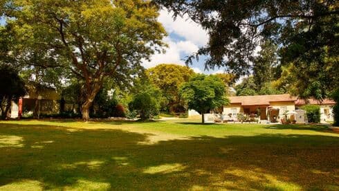 התמונה הקיבוצית