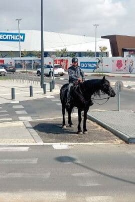 פרשים מסיירים במתחם ביג
