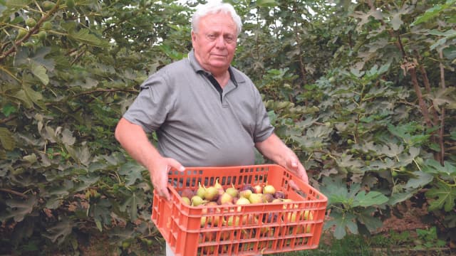  קירשנר השבוע בשדה 