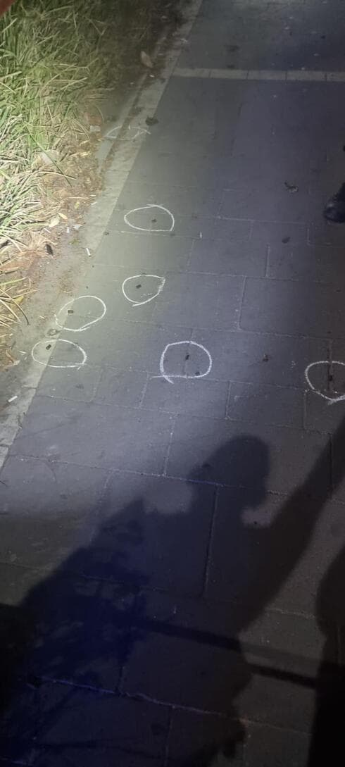 קליעי ירי במגינים