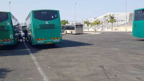 האוטובוסים בקצה החניון
