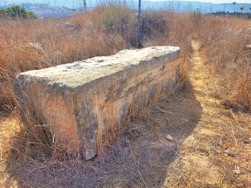 אבן מעוטרת בתל פעוש