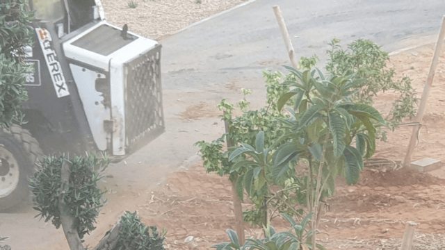 חלקיקים שמתפזרים לכל מקום
