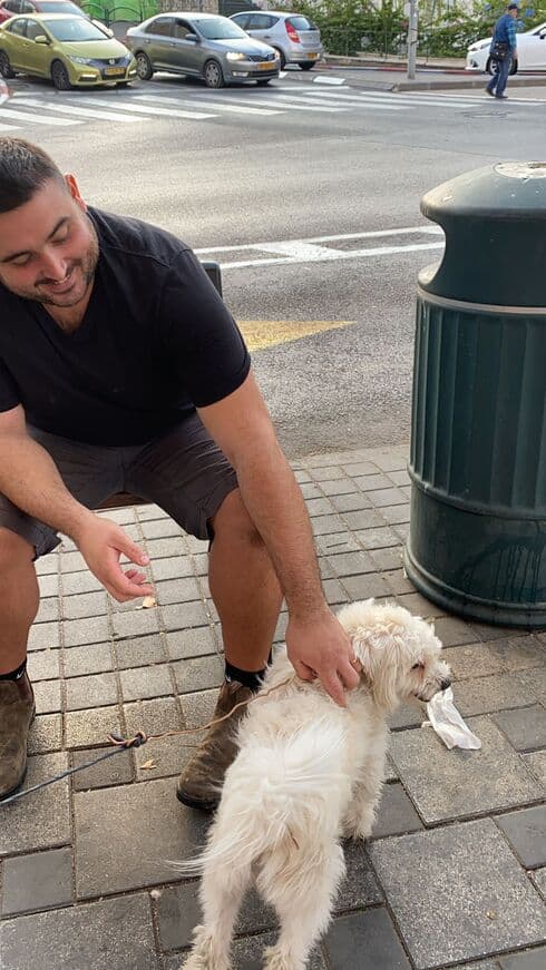 גיבור מקומי. מתן והכלבה