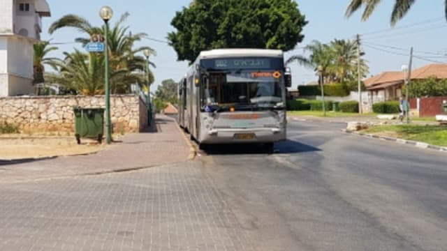 תחבורה ציבורית בקפלן