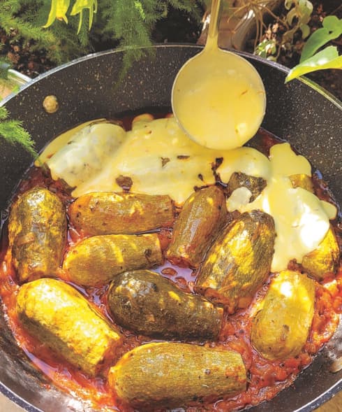 קישוא בלאדי 