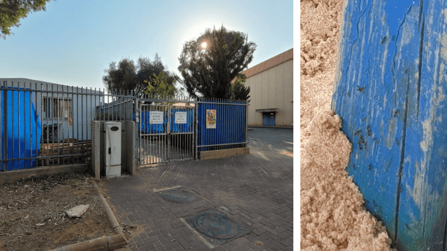 הנמלים בגן מיתרים בנתניה