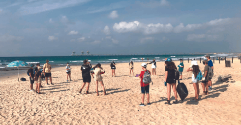 ניקוי החופים בשנה שעברה ניקוי החופים בשנה שעברה