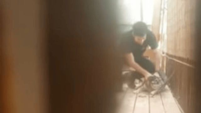 "עינוי והתאכזרות". תושב באר שבע וכלבתו