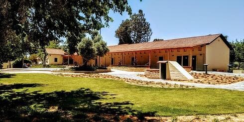 האוניברסיטה הסינית פתח תקוה