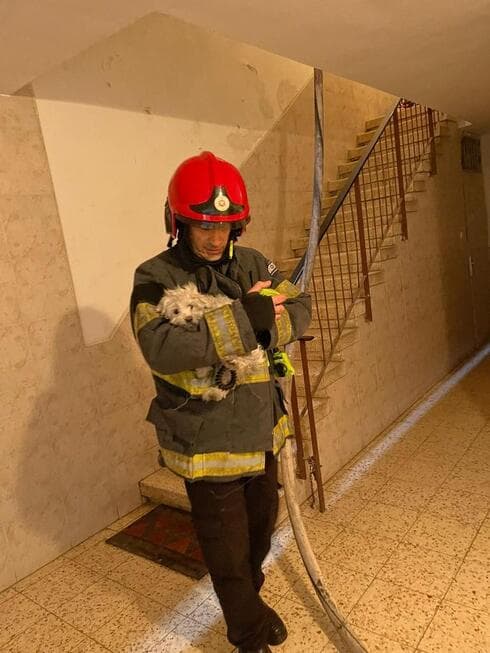 חילוץ מהבניין ברחוב זלמן ארן