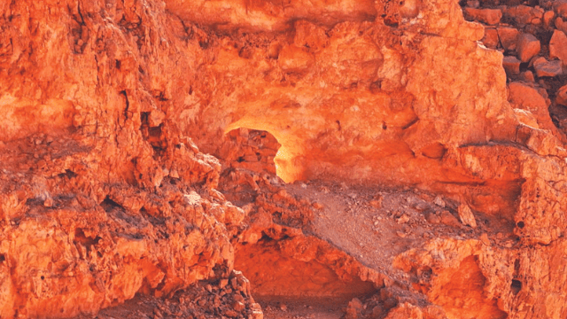 תופעת "הסנה הבוער" תופעת "הסנה הבוער"