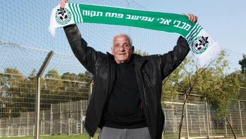 שטרית. "לאורך הדרך עמישב הפכה למותג"