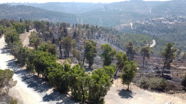 הרי ירושלים