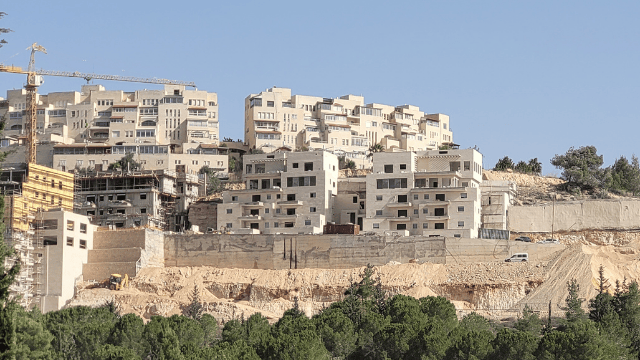 מורדות מלחה 