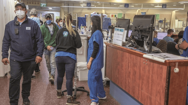 בית החולים מאיר השבוע. "בשבועיים האחרונים הגענו לטירוף מוחלט"
