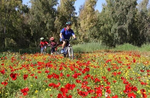דרום אדום דרום אדום