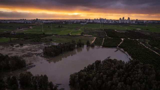 שלולית החורף של רחובות שוב מלאה
