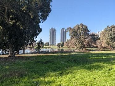 "השלולית" חוזרת לירוק
