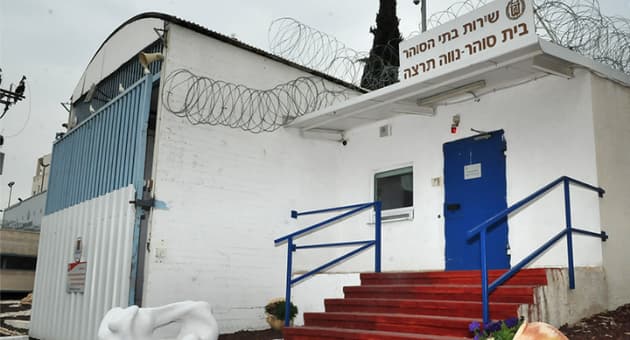 נוה תרצה