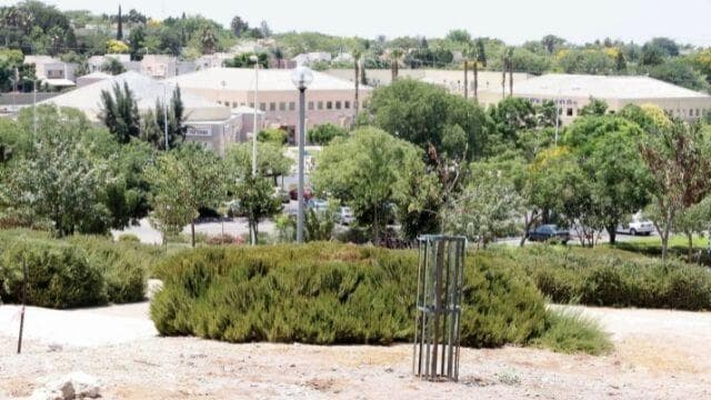 צביון כפרי? רובע רעות 