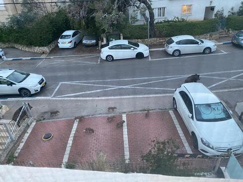 הפולשים ברחובות