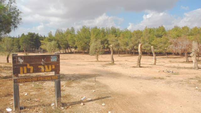 יער לון. ריאה ירוקה בלב השכונה
