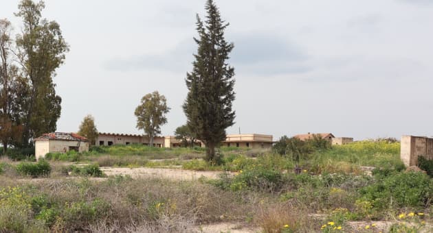 מחנה גדעון. מראה כללי