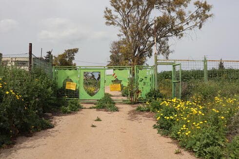 שער הכניסה