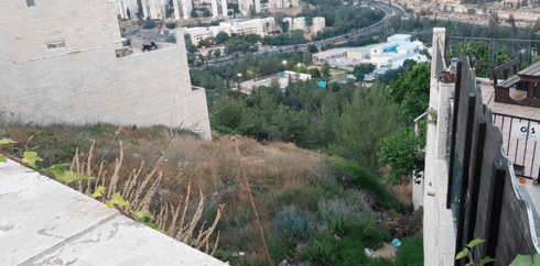 גבעת משואה. סאגת המקווה חוזרת (צילום: נרדי גרין) גבעת משואה. סאגת המקווה חוזרת
