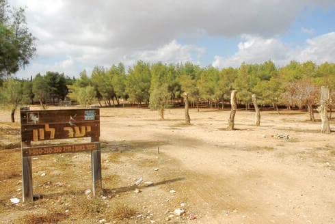 יער לון. היה בעבר פינת חמד