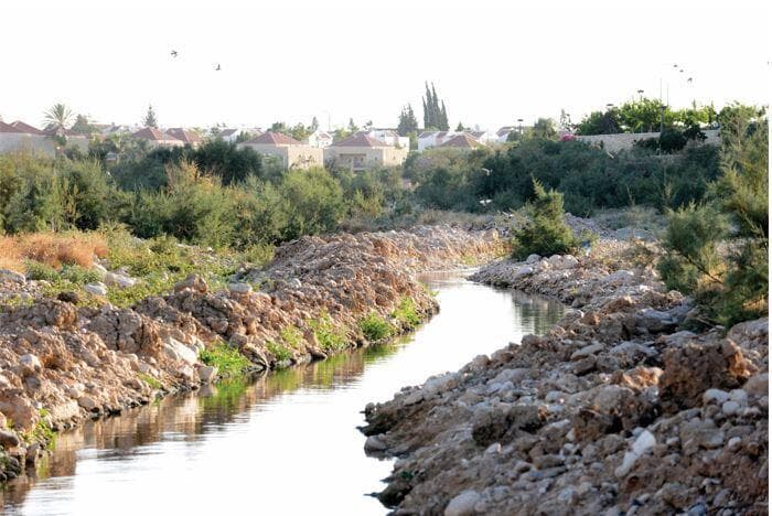 נחל באר־שבע. שפכים תעשייתיים ומסרטנים