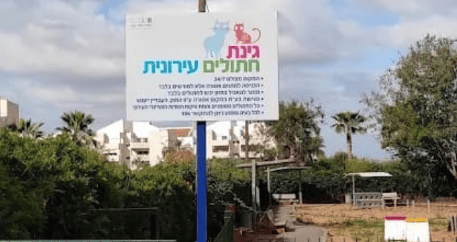 גינת החתולים בפתח תקוה. השנייה בעיר