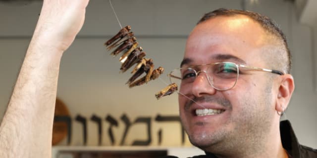 דור כהן והחגבים