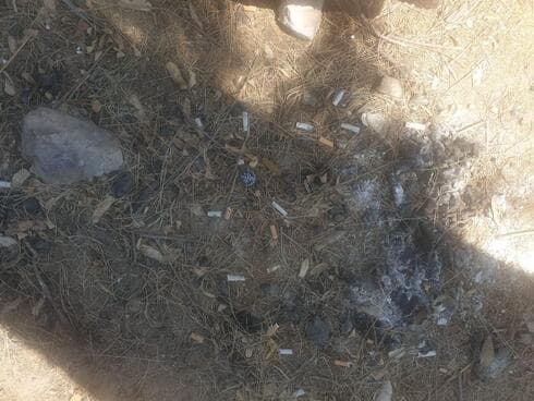 בדלים של סיגריות בטבע (צילום: הרצל יוסף) האשפה ברחובות השכונה