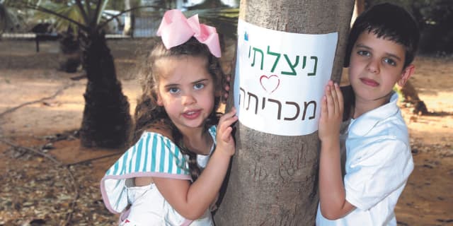 פעילי "רחובות של עצים". חזקים בעררים 