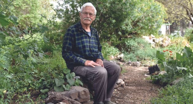 אילן טל. 50 שנות חינוך