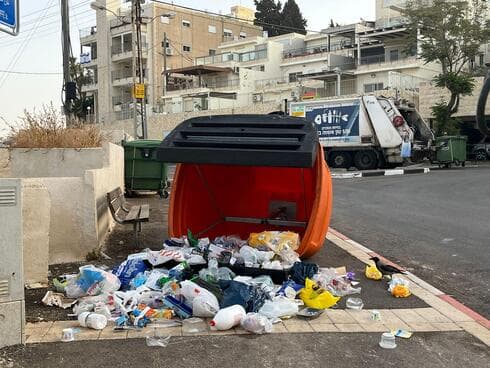פח שהפך חזיר בר