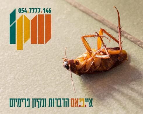 איי.פי.אם יוגב הדברות
