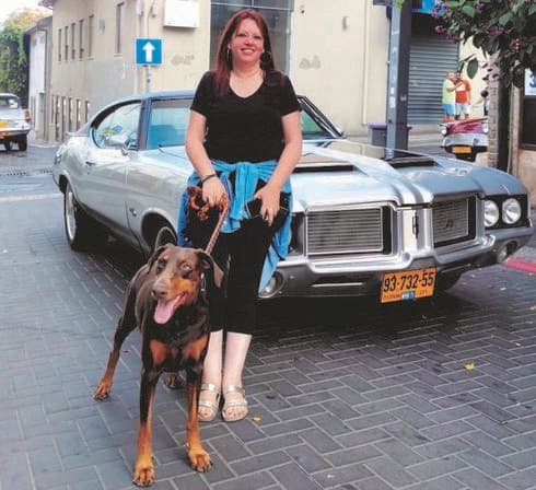 שטיימן. “הכל פשוט, נוח, מצוחצח ויפה”