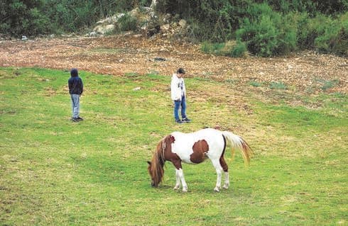 מעלות תרשיחא, האגם. "נערים מהכפרים באזור ממתינים ללקוחות שיבואו לרכוב על הסוס שלהם" (צילום: נורית ירדן) מעלות תרשיחא, האגם. "נערים מהכפרים באזור ממתינים ללקוחות שיבואו לרכוב על הסוס שלהם"