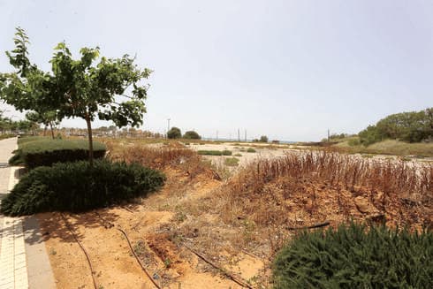 האזור בו אמורה לקום טיילת אולגה