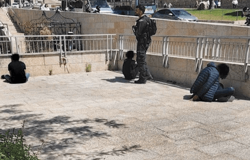 צעירים שנעצרו בחשד לביזוי דגלים ליד קניון ממילא