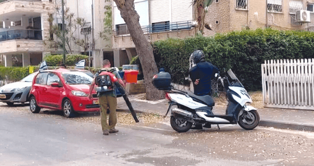 עובדי הגינון משתמשים במפוחים בקרית ביאליק