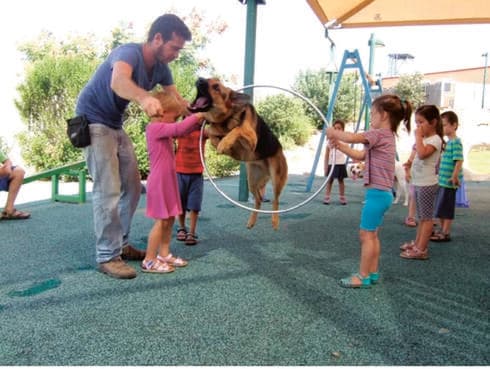 קייטנת אילוף כלבים בקיבוץ מגל