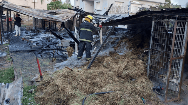 זירת השריפה בראש העין