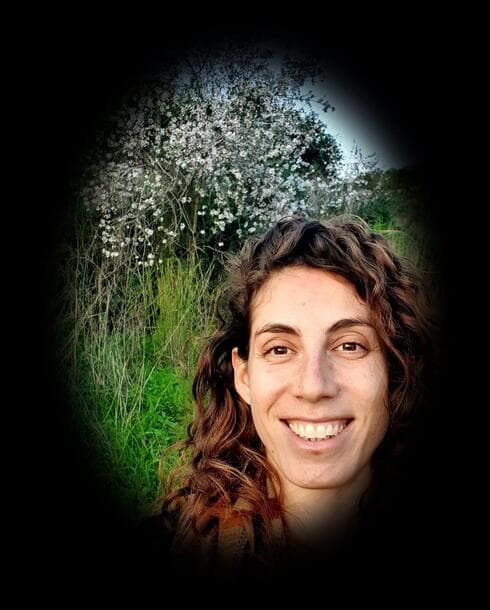 סיגל שחף אילן