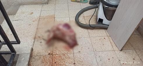 התעוררו לזוועה מדממת