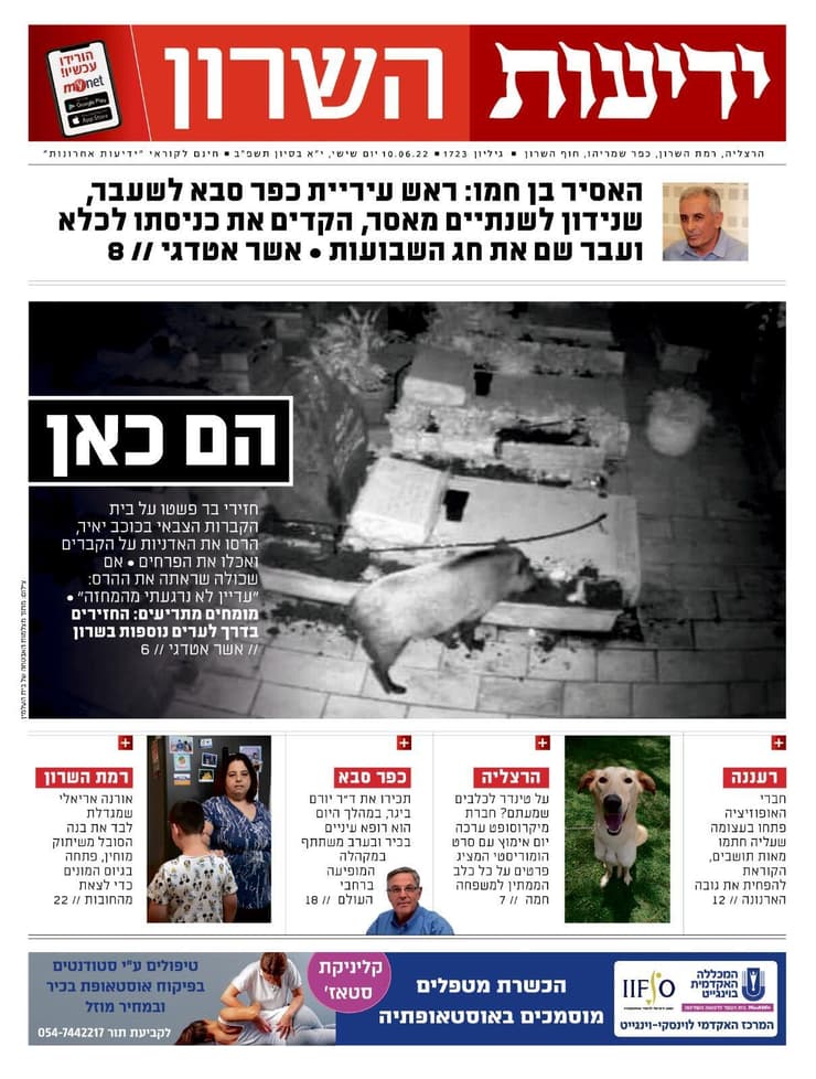 ידיעות השרון