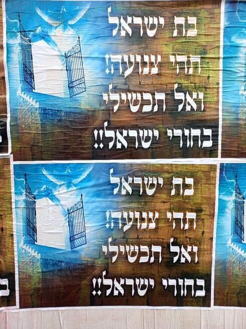 כרזות שנתלו בכרמל